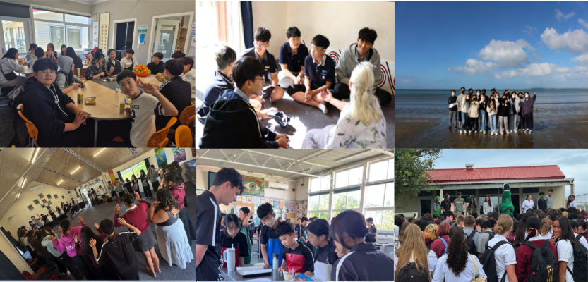 뉴질랜드 캠프 교실 활동과 현지 학생 교류 및 해변 체험 모습
